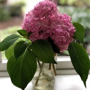 Meet your Posher, Patty